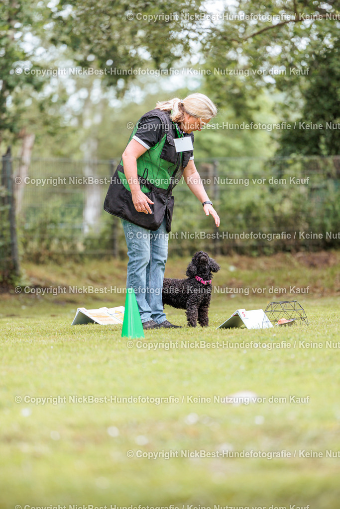 RO-Blumenthal-2026-Nickbest-Hundefotografie-1936 | Dein Hund! Dein Moment! Deine Erinnerungen! Hundefotografie in Bremen Blumenthal. Ich fange die besonderen Momente deines Vierbeiners ein – ob Indoor mit Blitzanlage oder in der freien Natur. Sicher dir dein Moment und dein Termin für eure Erinnerungen.