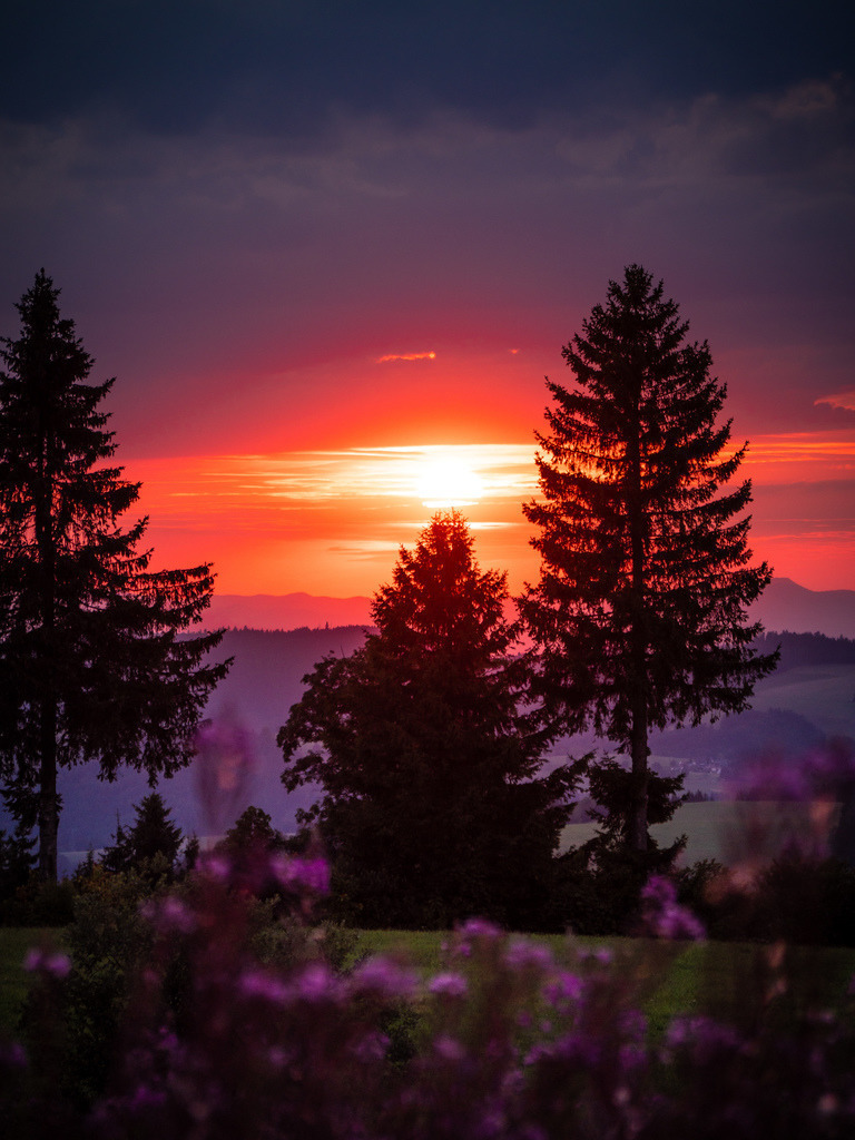 Black Forest Dark Mood | Letztes Sonnenlicht im Hochschwarzwald bei Sankt Märgen - Realisiert mit Pictrs.com