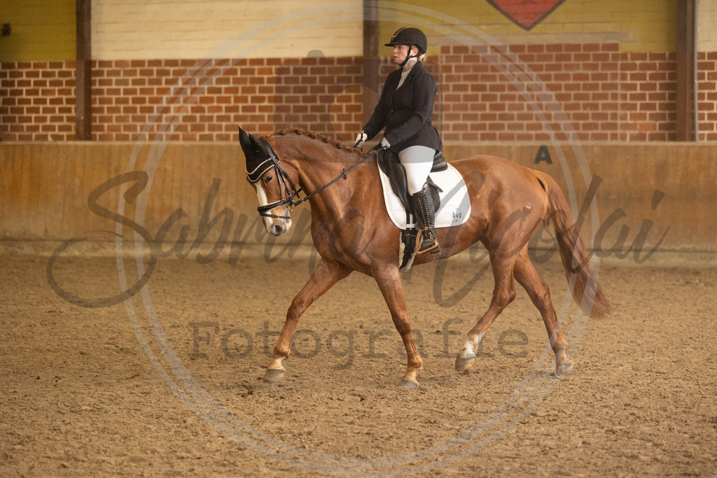 994A9255 | sabrinanicolaifotografie - Realisiert mit Pictrs.com