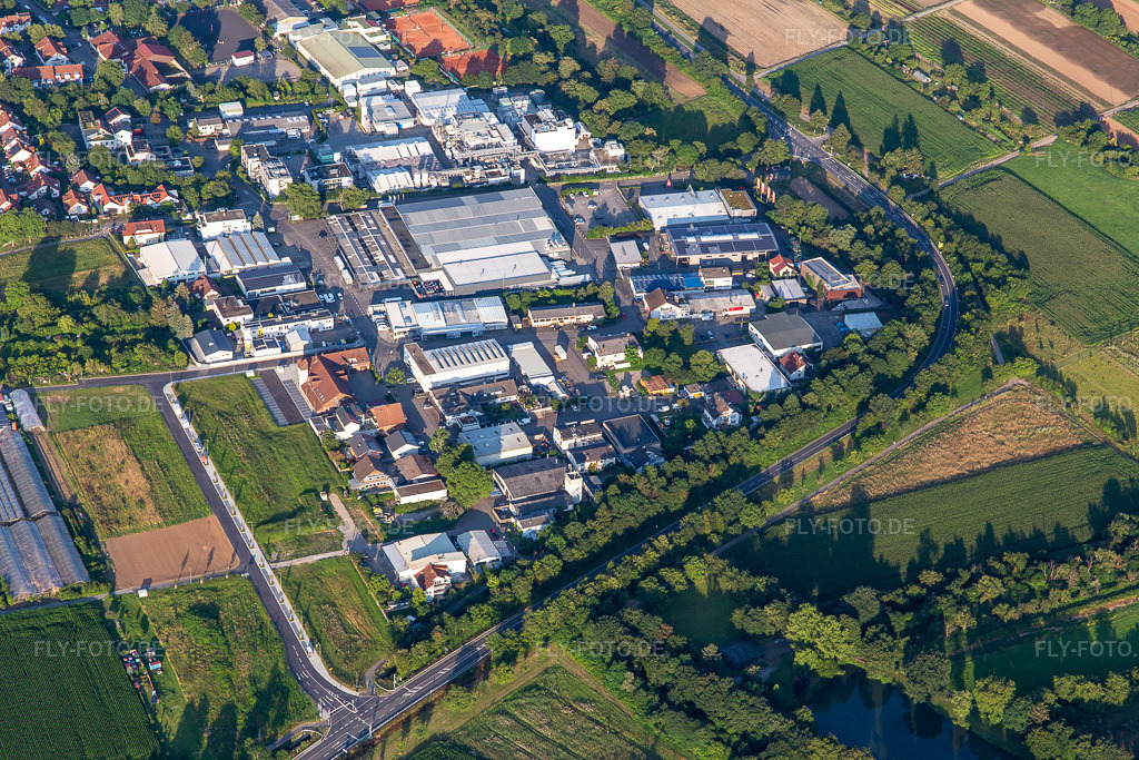 Luftbild: Gewerbegebiet mit EDEKA Foodservice Dossenheim in Dossenheim im Bundesland Baden-Württemberg in Deutschland. – Foto: IMG_142607.jpg vom 18.07.2024 durch Werner Riehm/FLY-FOTO.de – Auflösung des Originals: 5472 x 3648 px – EDEKA Foodservice Dossenheim Ihr C&C Großhandel
