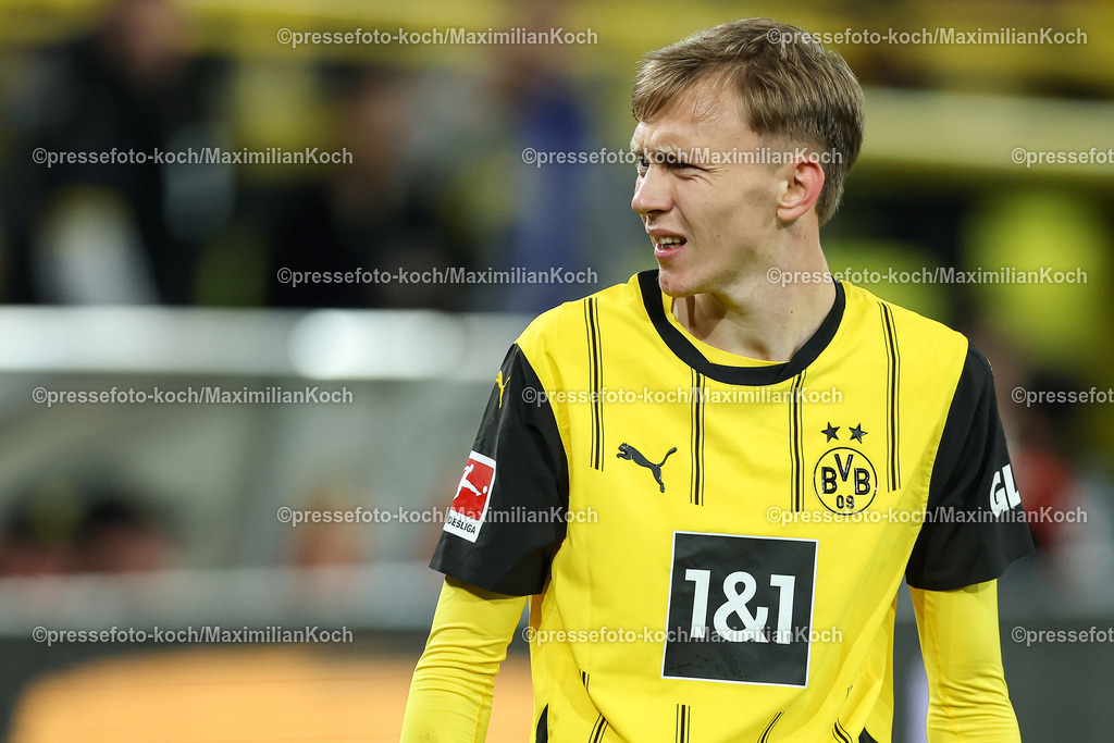 BVB13092402242 | 13.09.2024, 1. Fußball Bundesliga, Borussia Dortmund - 1. FC Heidenheim 1846, Signal Iduna Park, Saison 2024 2025: Maximilian Beier (BVB #14)DFB regulations prohibit any use of photographs as image sequences and or quasi-video.