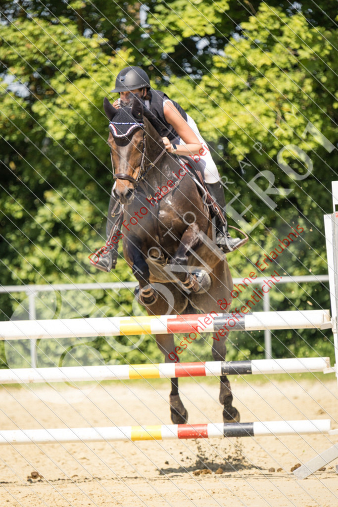 IMG_9903 | Sport-, Event- und Tierfotos in Profiqualität. Einfach auswählen, bestellen und herunterladen. Dein Moment – perfekt festgehalten.
