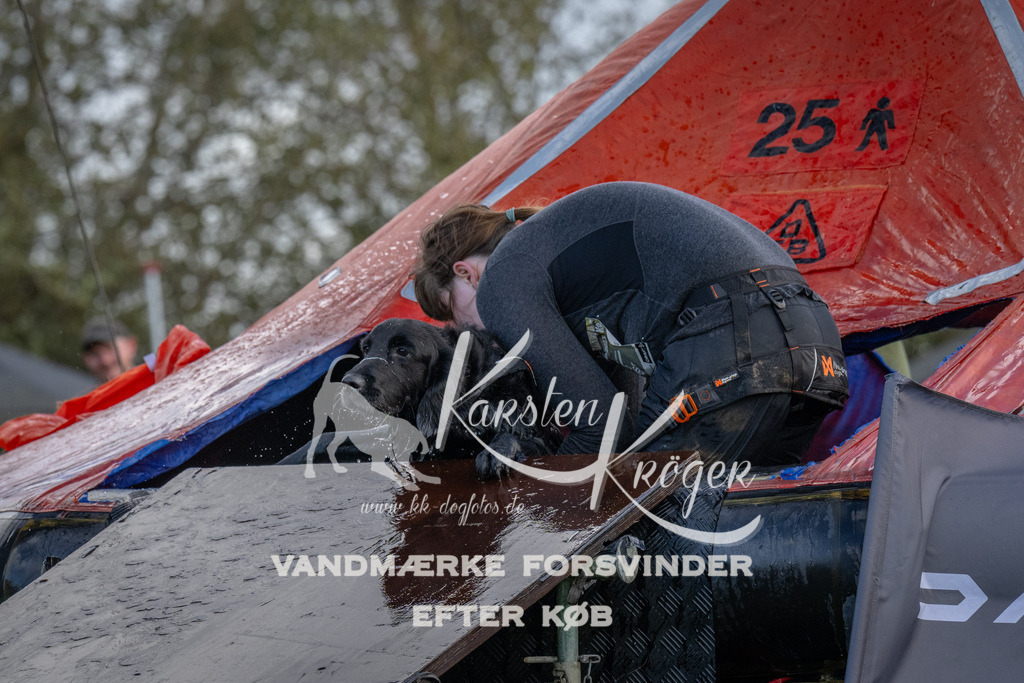 1227-93791 | kk-dogfotos