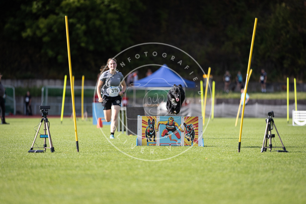 Pfotenfotografie_DV3A2277 | Hundefotografie, Tierfotograf, Pfotenfotografie, Fotoshooting Hund, Hunde Portrait, Hundesport, Hundeportraits, Heideshooting, Hunde, Sportfotograf, Hundefotograf, Turnierhundsport, THS,  - Realisiert mit Pictrs.com