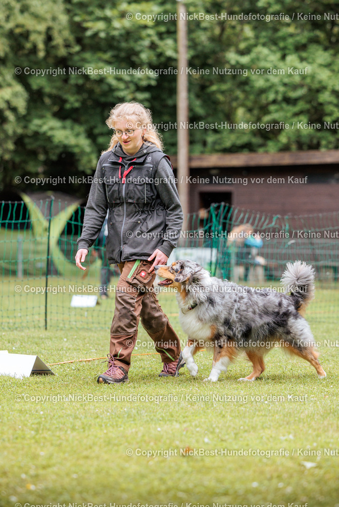 RO-Blumenthal-2026-Nickbest-Hundefotografie-2866 | Dein Hund! Dein Moment! Deine Erinnerungen! Hundefotografie in Bremen Blumenthal. Ich fange die besonderen Momente deines Vierbeiners ein – ob Indoor mit Blitzanlage oder in der freien Natur. Sicher dir dein Moment und dein Termin für eure Erinnerungen.
