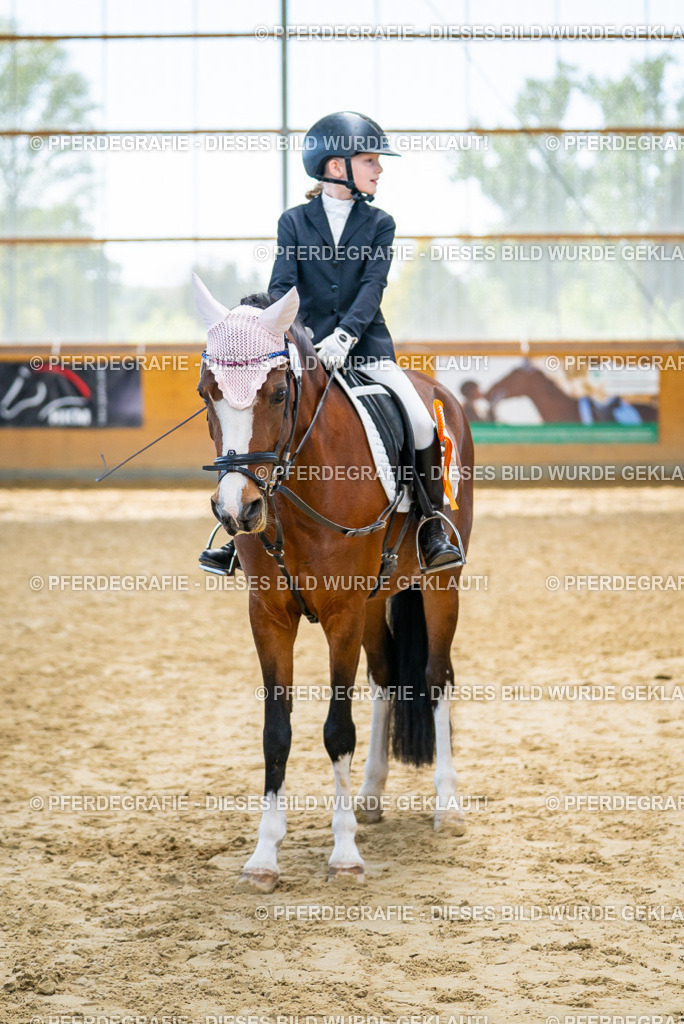 DSC01162 | Pferdegrafie