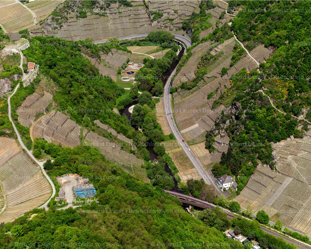3102240 | Weinberge bei Mayschoß