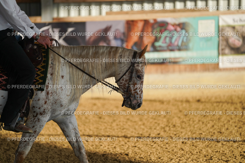 DSC08029 | Pferdegrafie