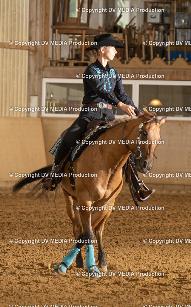 LAU00512 | dv-media-shop - Realisiert mit Pictrs.com