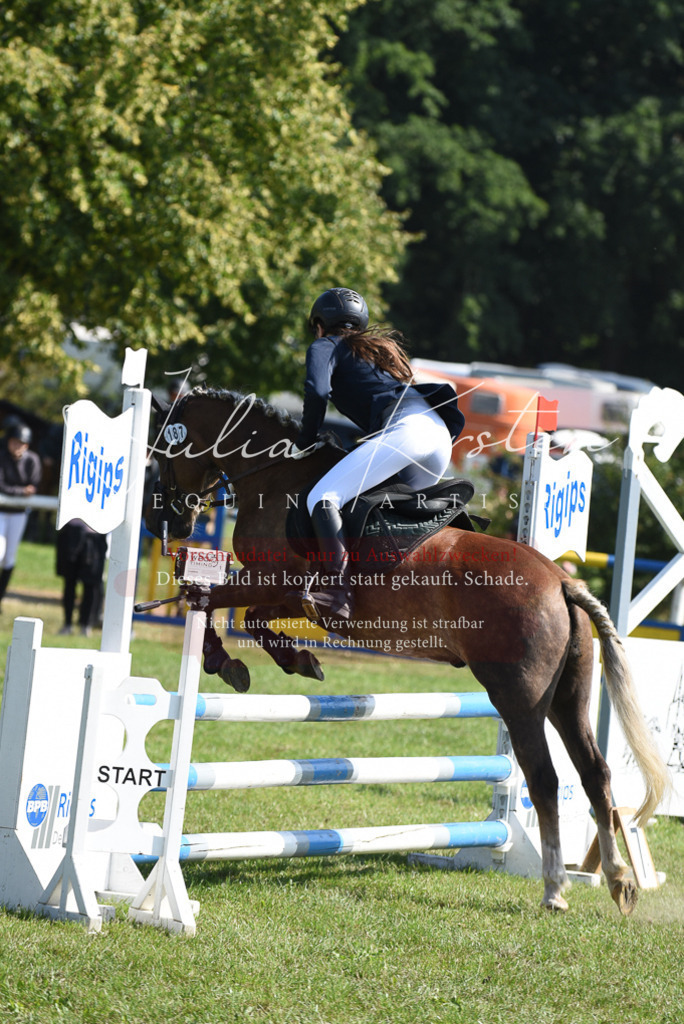 DSC_9075 | Pferde- und Turnierfotografie in Westsachsen. Pferdeportraits, Auftragszeichnungen und intuitive Kunst.
