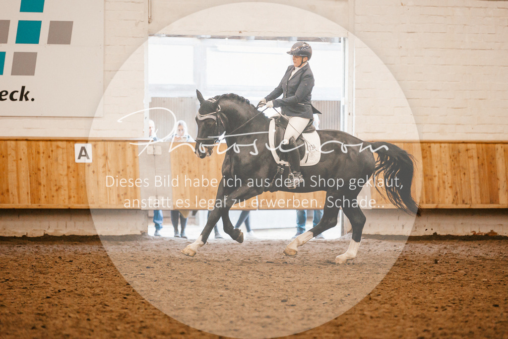 3I6A1364 | Stimmungsvolle Portraits und Reitsportfotografie im Ruhrgebiet und im Münsterland.

Pferdefotografie, Hundefotografie, Tierfotografie, Reportagen, Portraits von Tier und Mensch, Turnierfotografie in Bochum, Recklinghausen, Marl, Haltern am See, Dülmen.. - Realisiert mit Pictrs.com