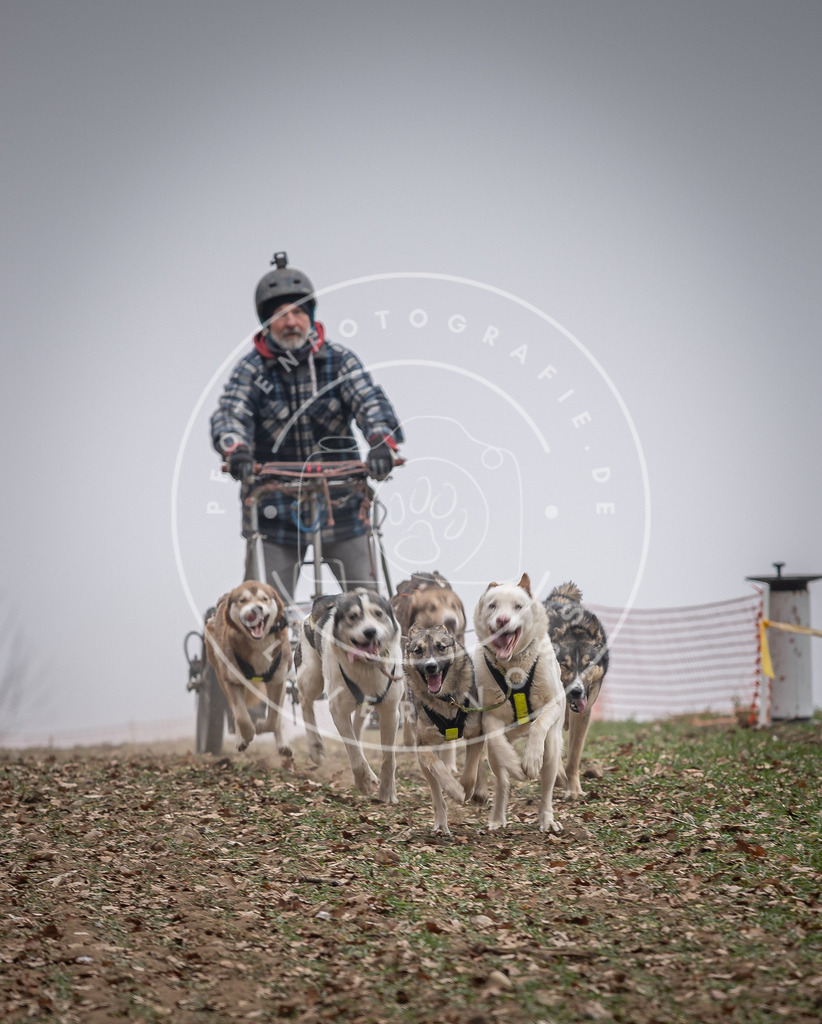 Pfotenfotografie_DV3A2075 | Hundefotografie, Tierfotograf, Pfotenfotografie, Fotoshooting Hund, Hunde Portrait, Hundesport, Hundeportraits, Heideshooting, Hunde, Sportfotograf, Hundefotograf, Turnierhundsport, THS,  - Realisiert mit Pictrs.com