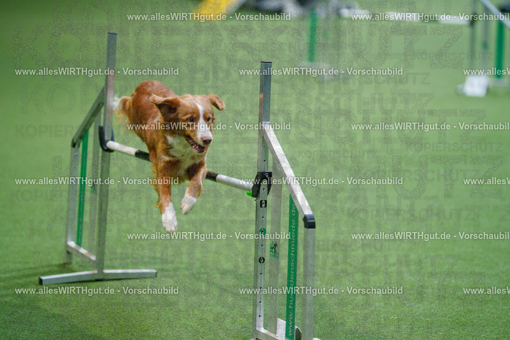 @allesWIRTHgut_Tierfotografie - www.allesWIRTHgut.de - 2604250825-7R506517 | Professionelle Tierfotografie in Mönchengladbach von Daniel Wirth (allesWIRTHgut). Liebevolle & natürliche Bilder von Hunden & Katzen für unvergessliche Erinnerungen.