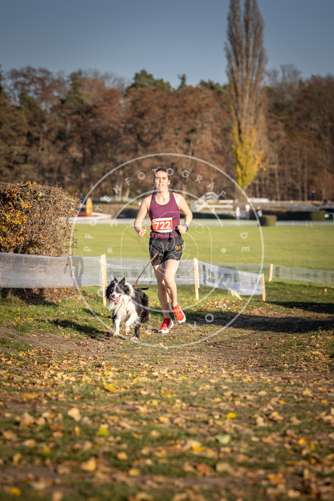 CaniXpix_DV3A1887 | Hundefotografie, Tierfotograf, Pfotenfotografie, Fotoshooting Hund, Hunde Portrait, Hundesport, Hundeportraits, Heideshooting, Hunde, Sportfotograf, Hundefotograf, Turnierhundsport, THS,  - Realisiert mit Pictrs.com