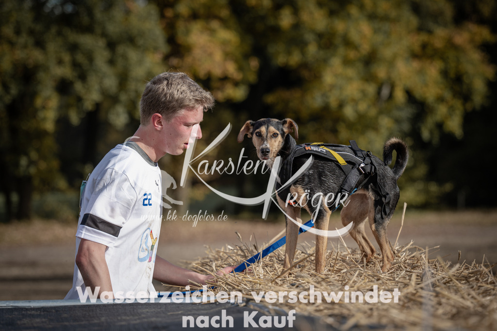 1212_ZZ93639 | kk-dogfotos