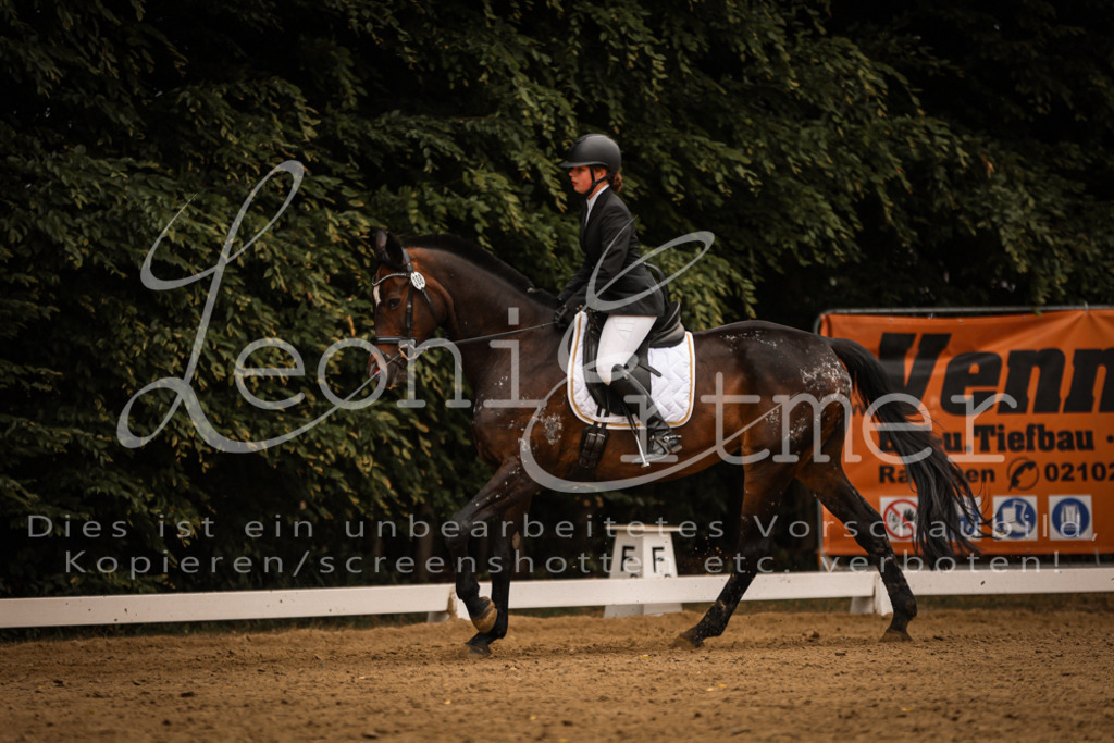 DoDrE00262 | Leoni Ertmer Photography - Realisiert mit Pictrs.com