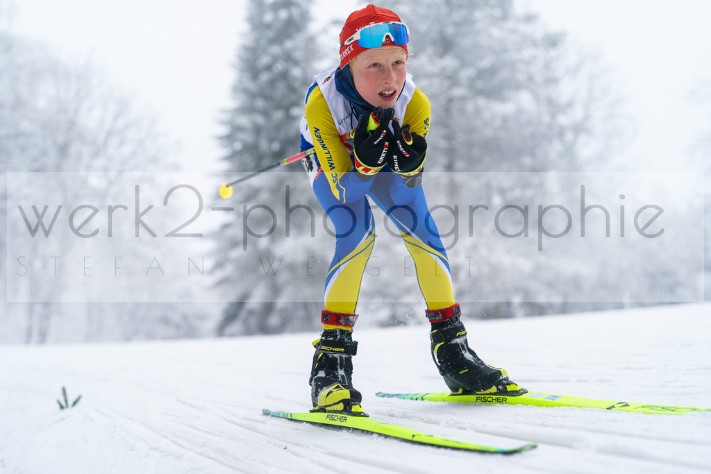 DSC Altenberg | 2. DSV E.INFRA Schülercup Biathlon in der SPARKASSEN-Arena Altenberg am 23. - 25. Januar 2026