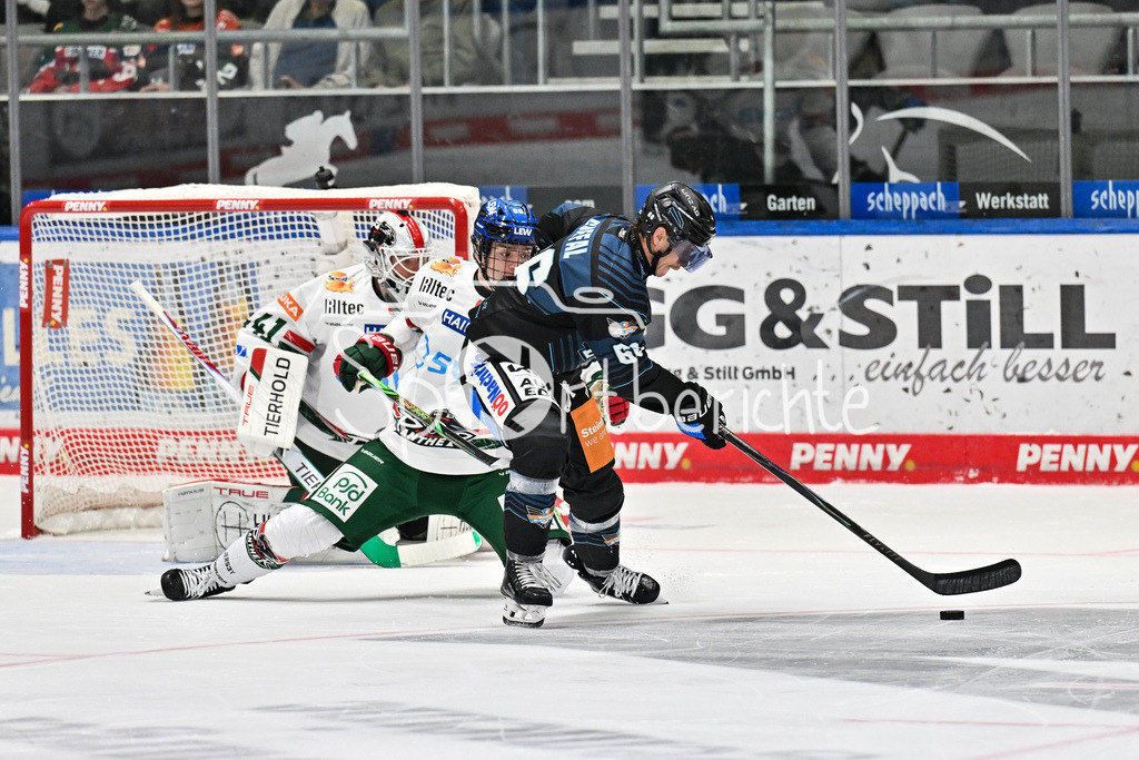 Augsburger Panther - Steinback Black Wings Linz | im Duell Liron PELLIZZARI (Augsburger Panther 60) und Stefan GAFFAL (Black Wings Linz 66) / Zweikampf / Testspiel: Augsburger Panther - Steinback Black Wings Linz; Curt Frenzel Stadion am 05.09.2025