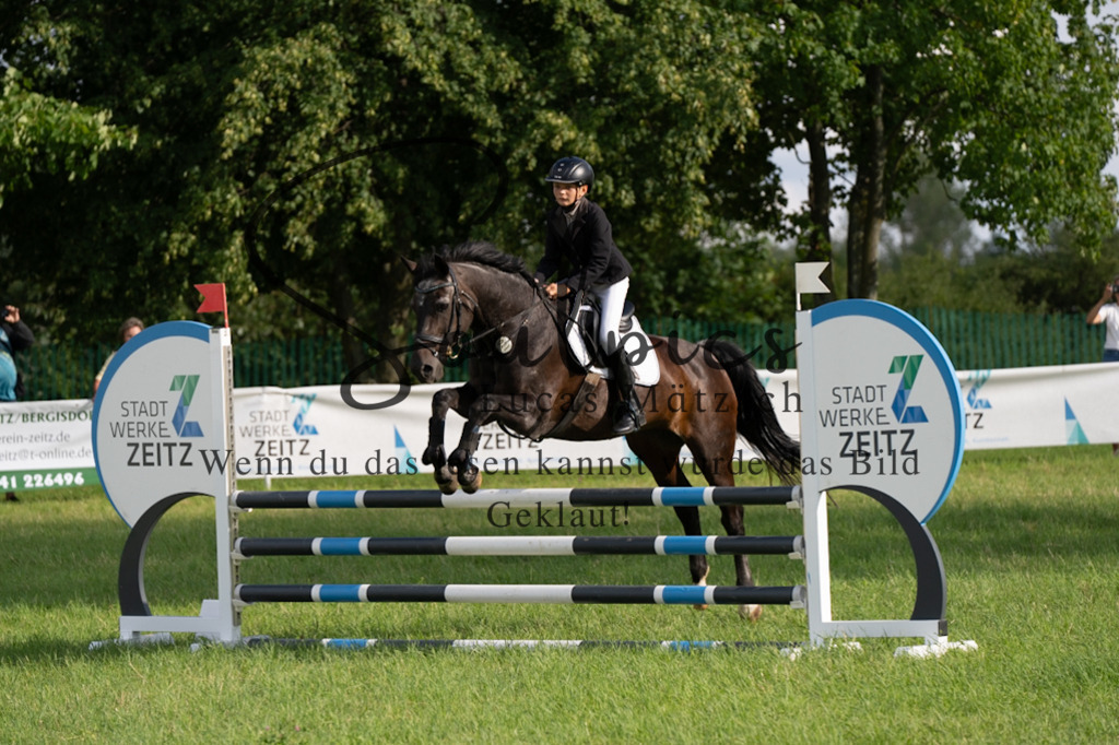 A7V03576 | Pferdefotograf