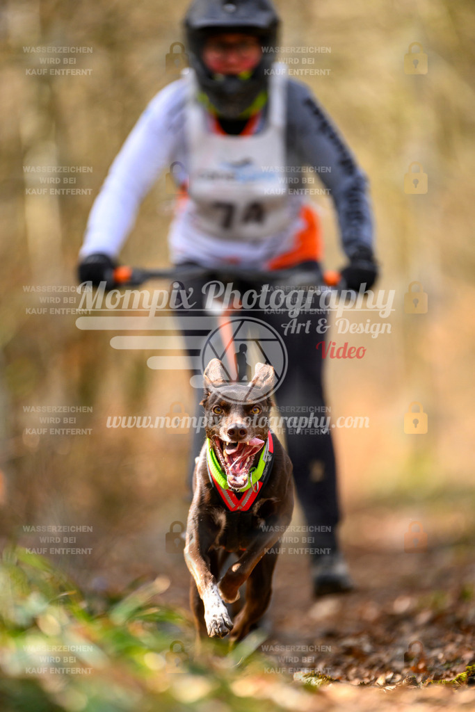 MompixPhotography_ReiatRennen2024_SO_DS1-38 | PayLife