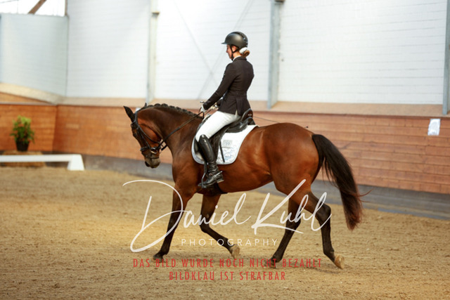 _62_7481 | Turniersportfotografie; Pferdefotografie; Dressurfotografie