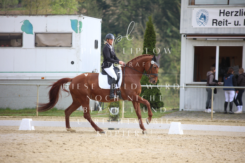 IMGT5194 | pl-fotografie