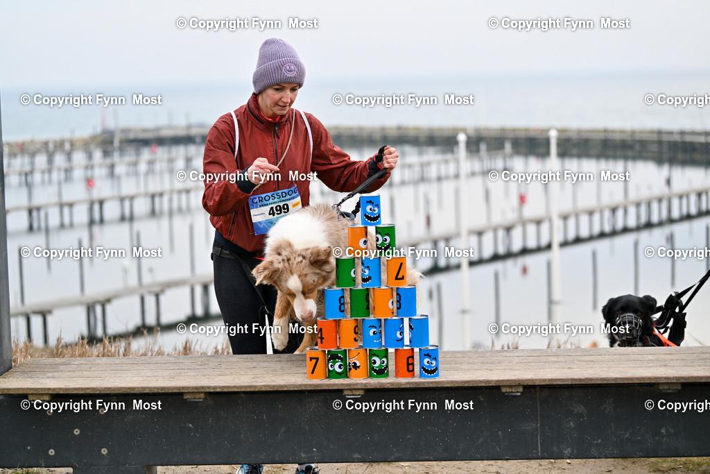 DSC_3490 | Hallo und herzlich Willkommen auf meiner Shop-Seite Fynn Most.

Ich wünsche Dir viel Spaß beim stöbern durch die Bilder, wenn Du Fragen hast oder Bilder vermisst, kannst du mir gerne eine Nachricht schreiben. - Realisiert mit Pictrs.com