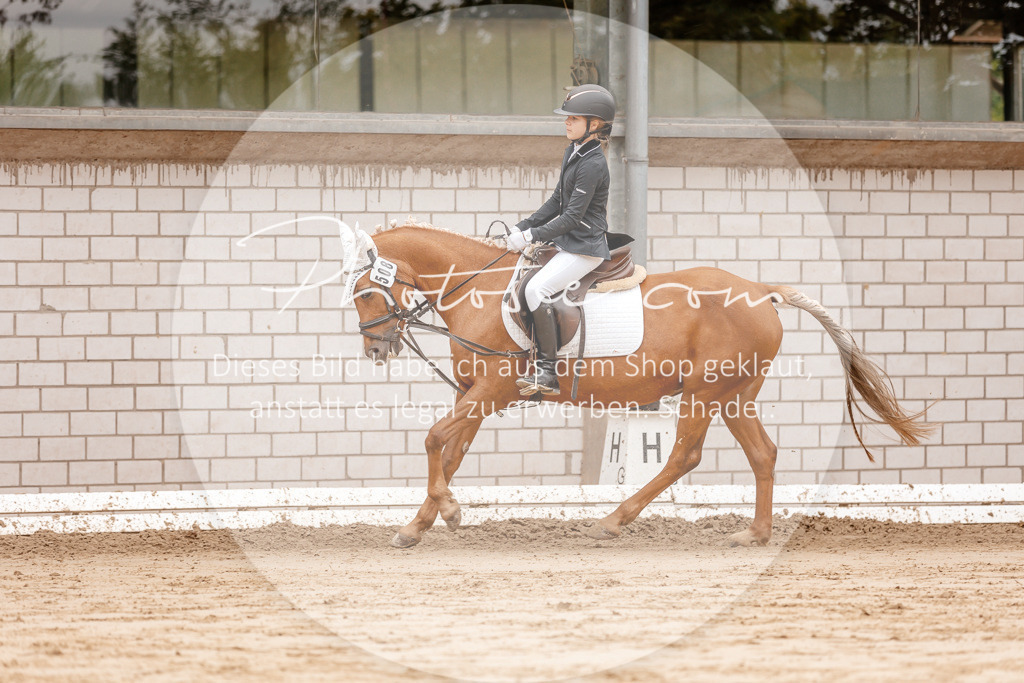 3I6A8381 | Stimmungsvolle Portraits und Reitsportfotografie im Ruhrgebiet und im Münsterland.

Pferdefotografie, Hundefotografie, Tierfotografie, Reportagen, Portraits von Tier und Mensch, Turnierfotografie in Bochum, Recklinghausen, Marl, Haltern am See, Dülmen.. - Realisiert mit Pictrs.com