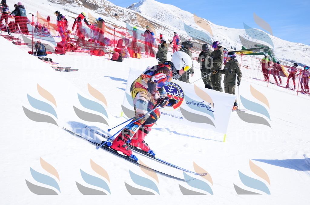 DSC_4560 | holidayphoto