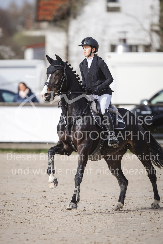 240330_Fruehlingsfest_Stil-A1_U30-325 | Deine schönsten Turniermomente als professionelle Fotos! Entdecke hochwertige Pferdesport-Fotografie im Online-Shop. Jetzt Fotos finden & bestellen!