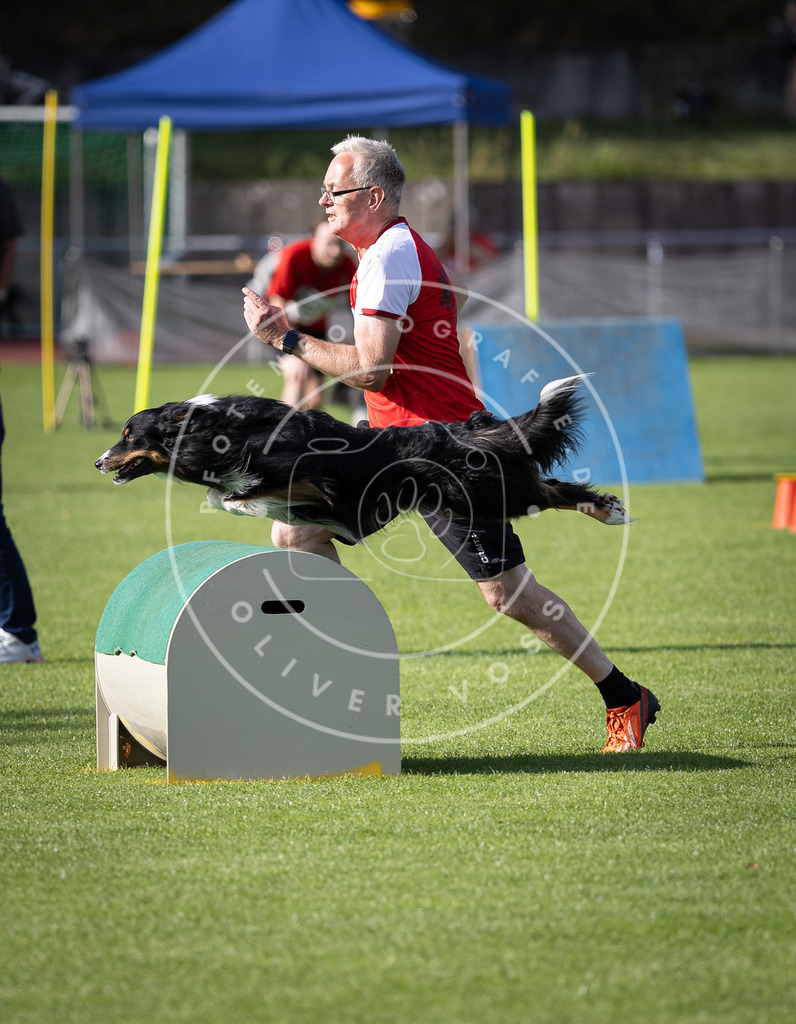 Pfotenfotografie_DV3A2294 | Hundefotografie, Tierfotograf, Pfotenfotografie, Fotoshooting Hund, Hunde Portrait, Hundesport, Hundeportraits, Heideshooting, Hunde, Sportfotograf, Hundefotograf, Turnierhundsport, THS,  - Realisiert mit Pictrs.com
