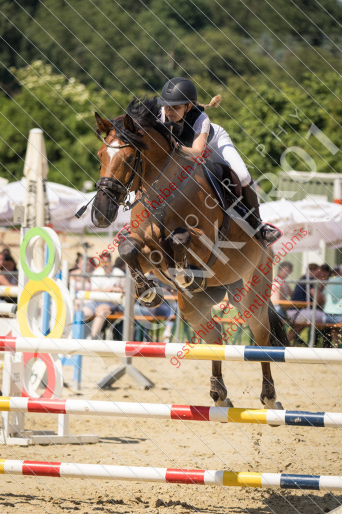 IMG_9726 | Sport-, Event- und Tierfotos in Profiqualität. Einfach auswählen, bestellen und herunterladen. Dein Moment – perfekt festgehalten.