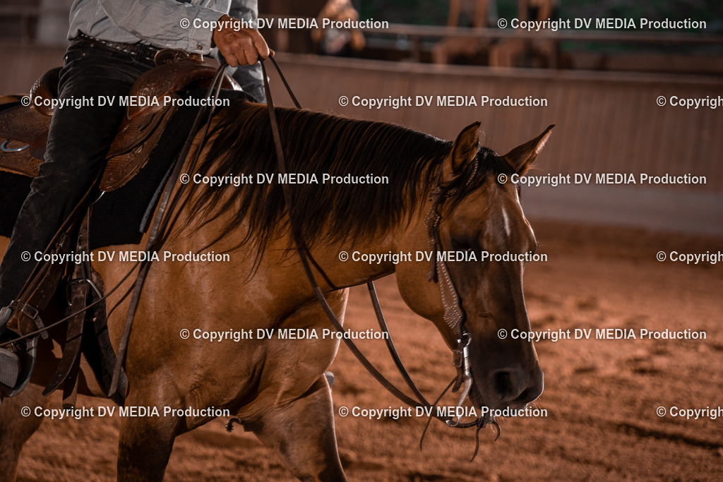 NE201492 | dv-media-shop - Realisiert mit Pictrs.com