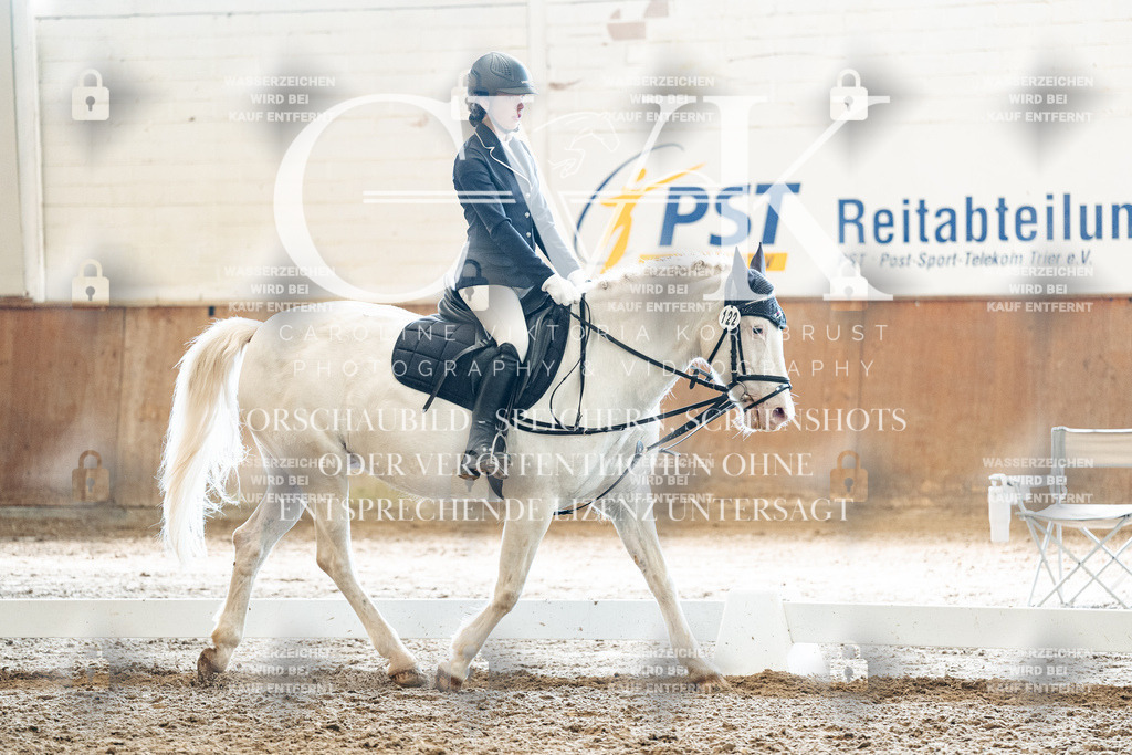 CK900403 | Turnierfotografie Pferdefotografie Trier Rheinland-Pfalz Pferdesport Reitsport Tierfotografie Sportfotografie Pferdevideo Pferdevideografie Equestrianvideography equestrianphotography  - Realisiert mit Pictrs.com