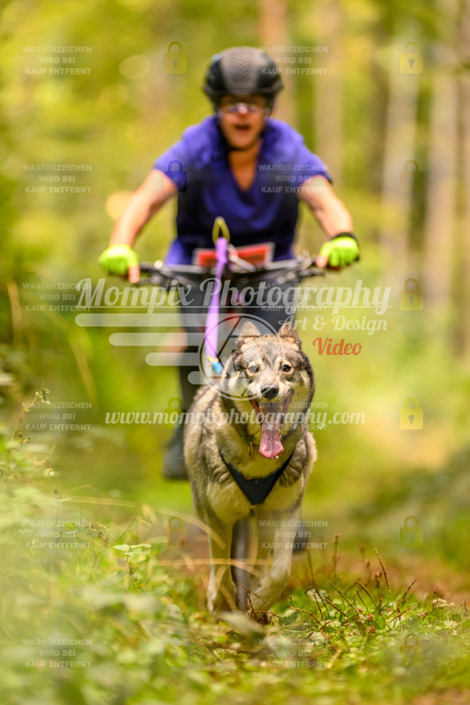MompixPhotography_Yens2025_B2-110 | PayLife