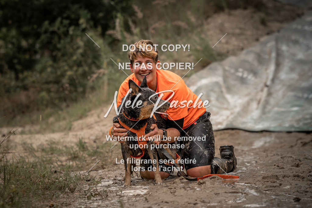 nelerasche_sa1000-1100_342 | nelerasche