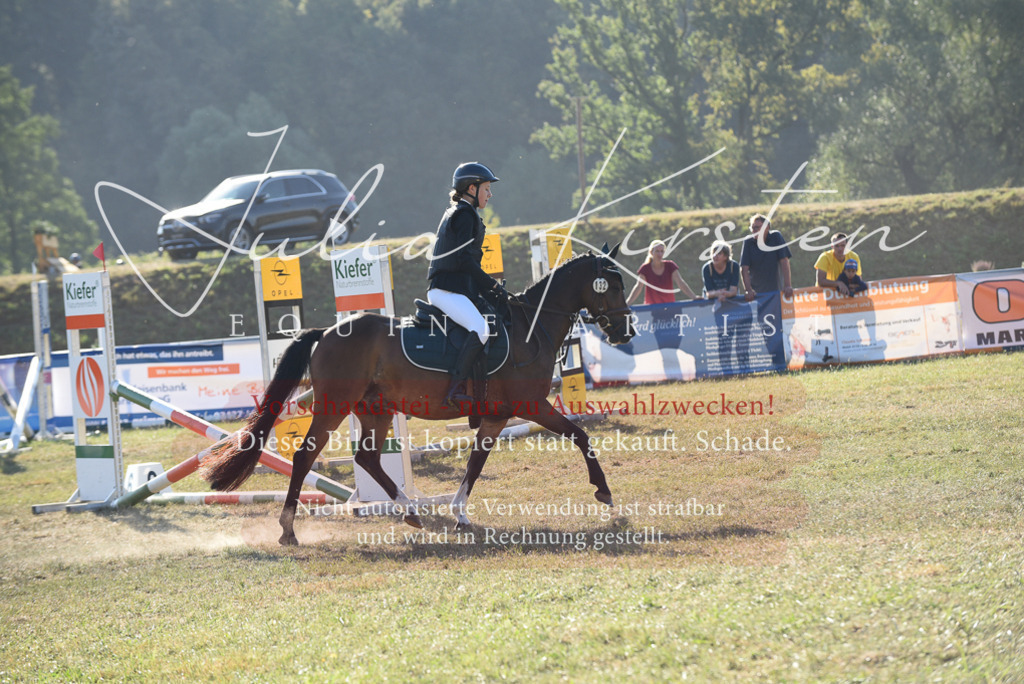 DSC_5553 | Pferde- und Turnierfotografie in Westsachsen. Pferdeportraits, Auftragszeichnungen und intuitive Kunst.