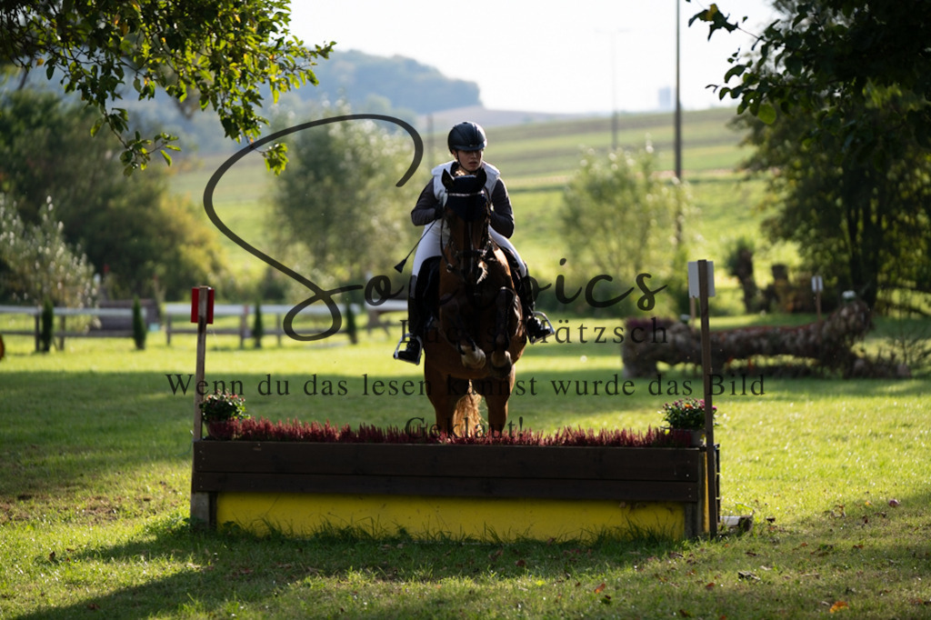 A7V03079 | Pferdefotograf