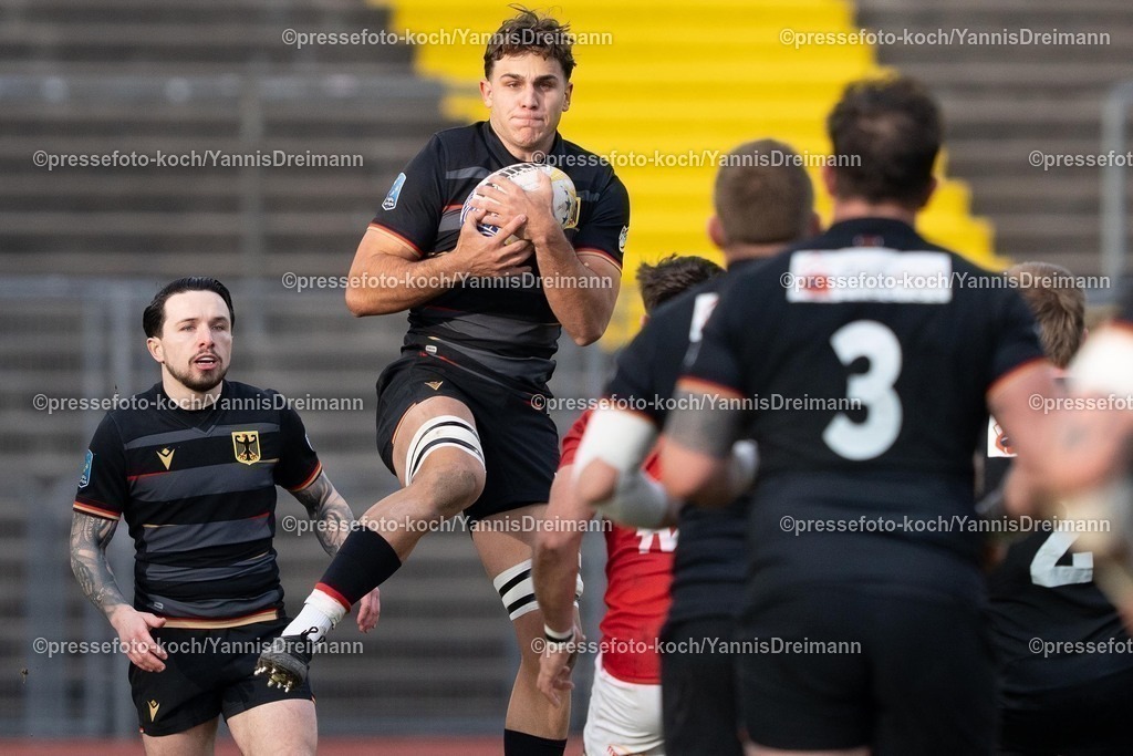 YDR16022501001 | 16.02.2025, xydrx, Rugby Europe Championship, Deutschland - Belgien, 15er Männer, Auestadion Kassel: Cameron McDonald (Deutschland #15) , Oliver Stein (Deutschland #8) fängt den Ball