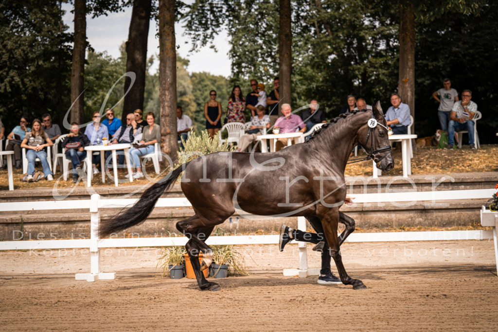 4.Fr00078 | Leoni Ertmer Photography - Realisiert mit Pictrs.com