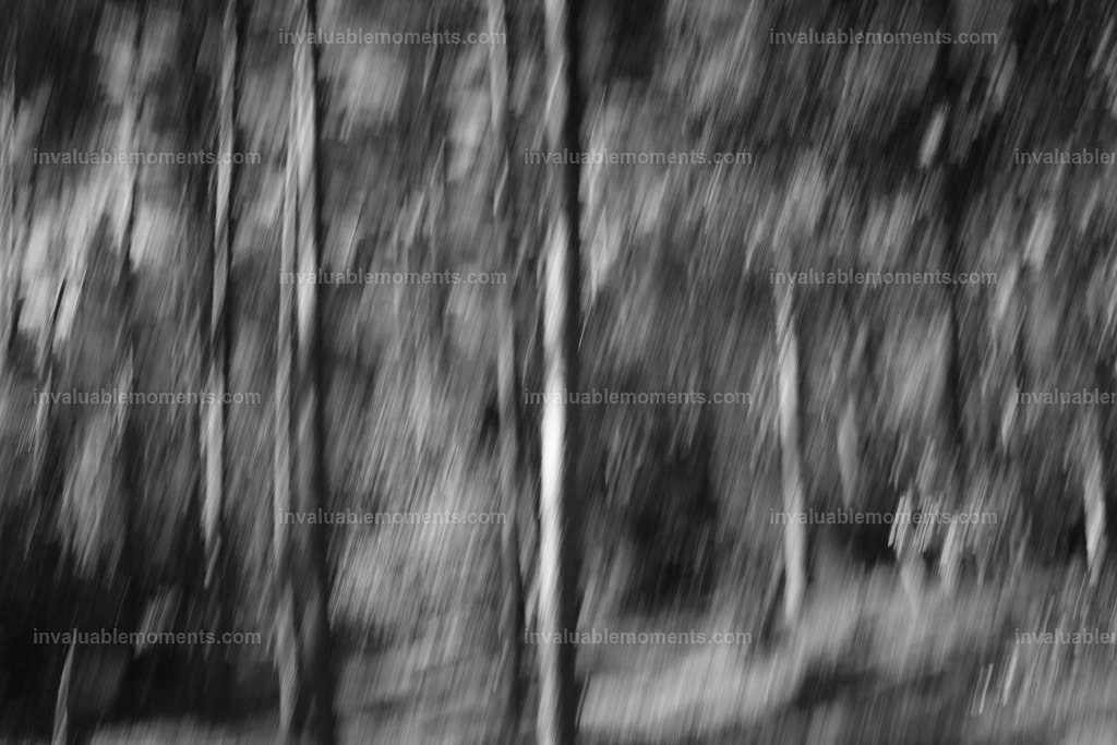 DSCF1671 | invaluablemoments.com - Realisiert mit Pictrs.com