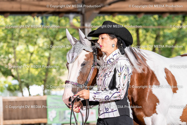 Erbach Tag 3-123 | dv-media-shop - Realized with Pictrs.com