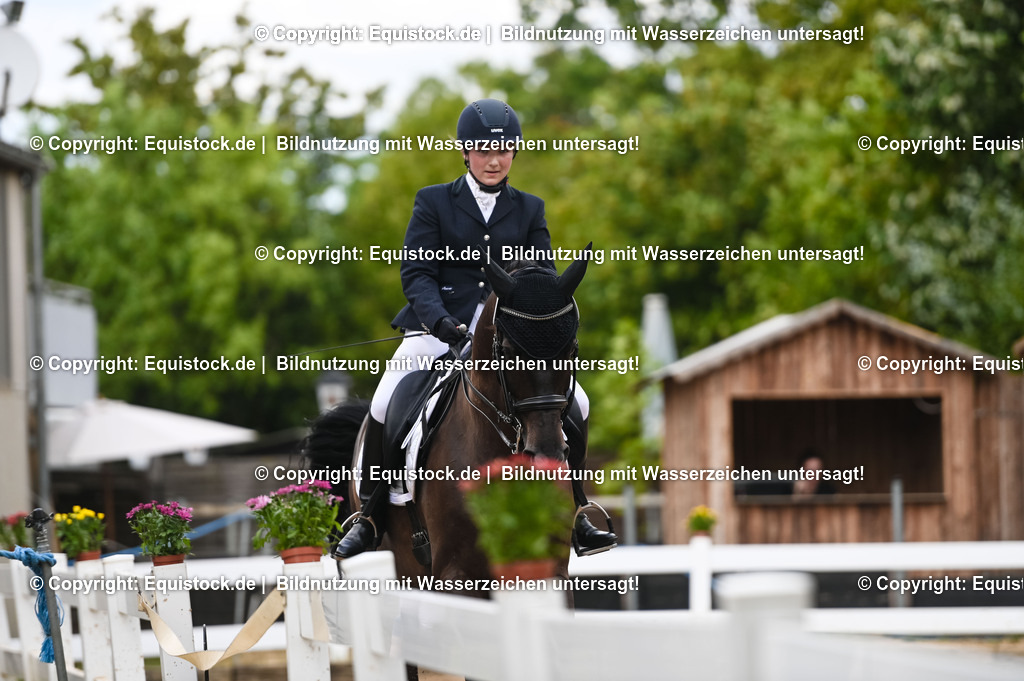 20230716_01_Dressurprüfung Kl.M_0410 | equistock
