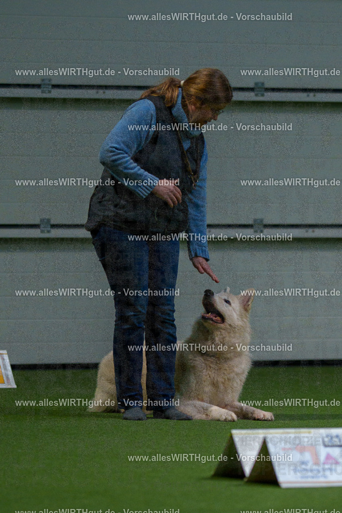 7R500201 | Professionelle Tierfotografie in Mönchengladbach von Daniel Wirth (allesWIRTHgut). Liebevolle & natürliche Bilder von Hunden & Katzen für unvergessliche Erinnerungen.