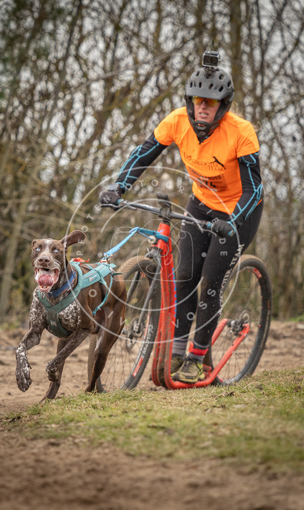 Pfotenfotografie_DV3A9786 | Hundefotografie, Tierfotograf, Pfotenfotografie, Fotoshooting Hund, Hunde Portrait, Hundesport, Hundeportraits, Heideshooting, Hunde, Sportfotograf, Hundefotograf, Turnierhundsport, THS,  - Realisiert mit Pictrs.com