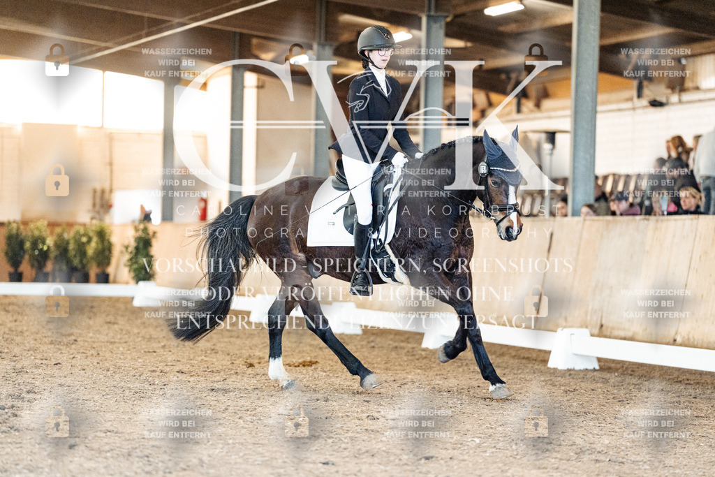 CK906968 | Turnierfotografie Pferdefotografie Trier Rheinland-Pfalz Pferdesport Reitsport Tierfotografie Sportfotografie Pferdevideo Pferdevideografie Equestrianvideography equestrianphotography  - Realisiert mit Pictrs.com