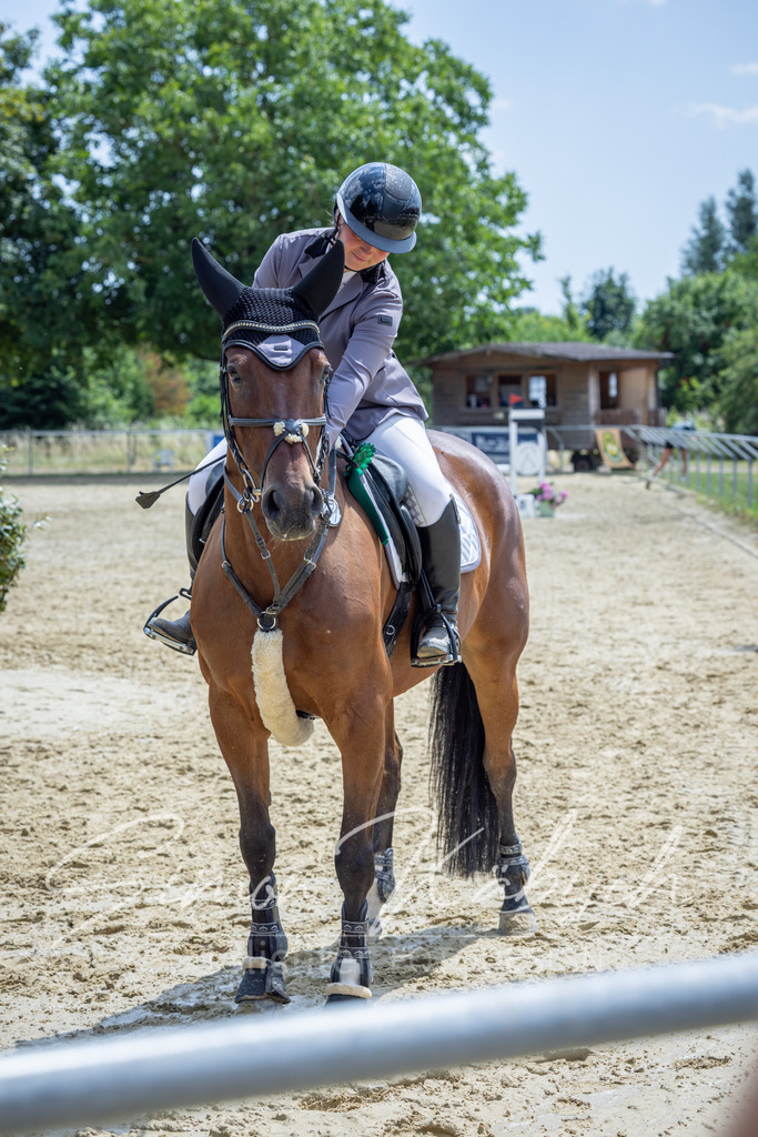20260704-_3LI9115 | Tierfotografie Pferde, Hunde, Katzen, Haustiere.
Turnierfotografie Reitturniere, Reiten, Springreiten, Dressur in Hanau, dem Main-Kinzig-Kreis und dem Rhein-Main- Gebiet um Frankfurt