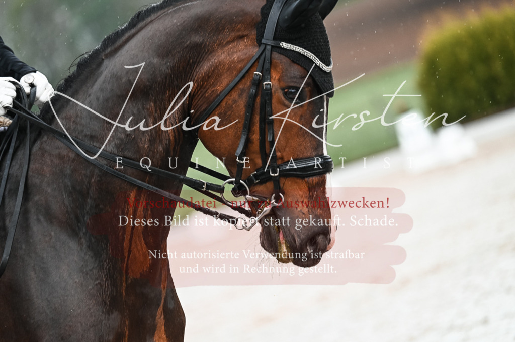 DSC_4171 | Pferde- und Turnierfotografie in Westsachsen. Pferdeportraits, Auftragszeichnungen und intuitive Kunst.