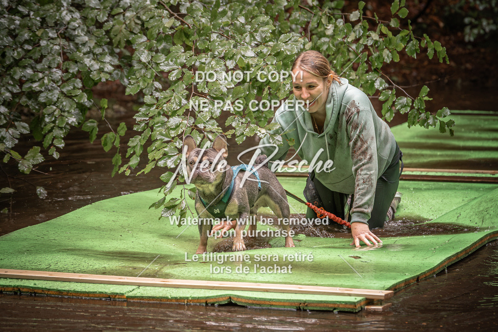 nelerasche_Wingst_Sa1330-1400_35 | nelerasche