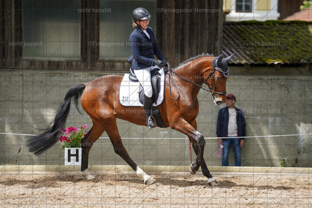 20240519-FAH05264 | Turnierbilder Niederseeon 2024, Vielseitigkeitsdressur, Reitsportbilder aus dem Landkreit Ebersberg, Gut Steinsee, RC Steinsee, Fotoagentur Herrmann